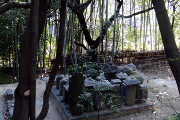 Graves on the hillside