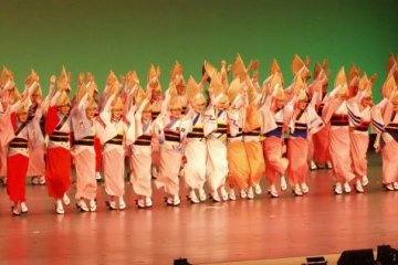 The beautiful women of Awa Odori
