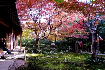 <p>The hermitage opens to the public only in late autumn</p>