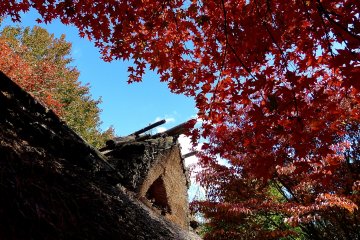 <p>Thatched roof of the hermitage</p>