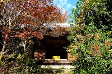 <p>Natural garden</p>