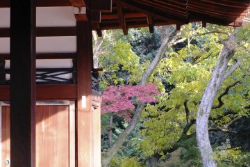 <p>A visitor enjoying a different part of the garden</p>