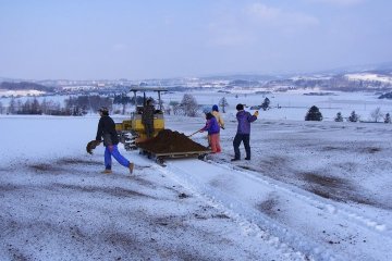 Farming #2