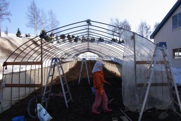 Farming #3