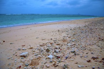 Air hijau kebiruan dan pasir putih dengan banyak kerang