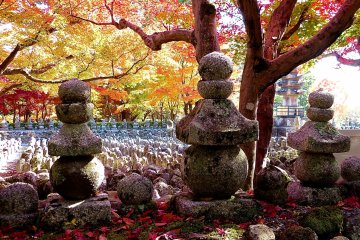 Kyoto Adashino Nenbutsu-ji Temple