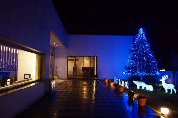 <p>The little yard that I look out to every morning when I have my breakfast. At night, the little animals light up, all ready for Christmas!</p>