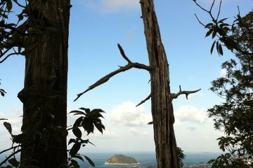 The view to the sea