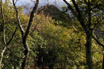 On the ridge