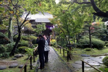 <p>The front garden is just a warm up for the real treat behind the temple.</p>