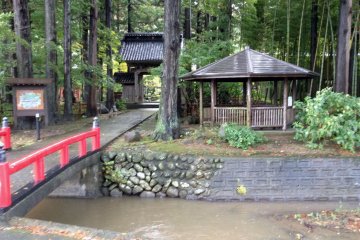 <p>The bridge from the parking lot to the temple is actually a gateway to a nature wonderland.</p>