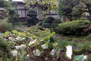 <p>A small nook of green and pond in&nbsp;Gyokusenji Temple in the town of Tsuruoka, Yamagata Prefecture</p>