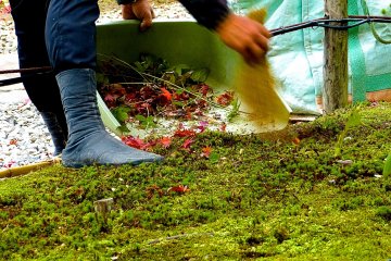 Gardener’s feet