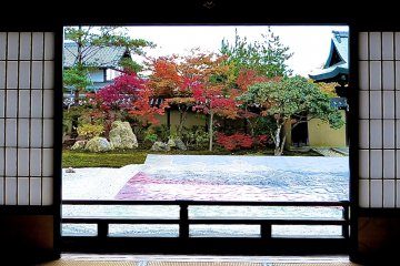 Looking out from Hojo Hall
