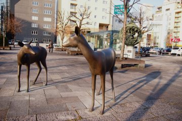 A family of deer outside the station!