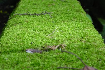 The right side of the temple grounds has some very old gravestones, moss covered walls and statues.