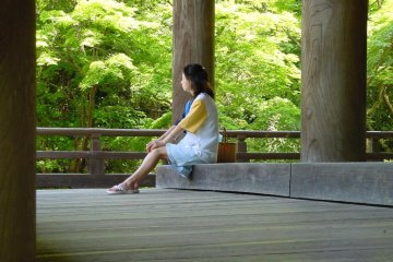 Take a seat on the porch, close your eyes and relax for ten minutes or so. Or sit and chat with whomever you have come with. You will not find a more tranquil place in all of Kamakura.