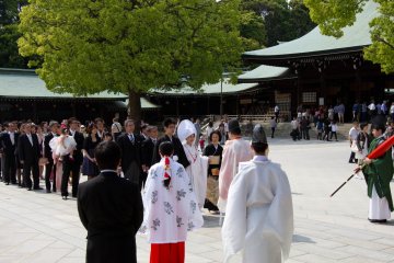 <p>You will see them walking to and from the actual&nbsp;ceremony, which itself certainly remains a very&nbsp;private matter and is closed to the public.</p>