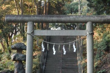 Torii leading to the shrine's back area.