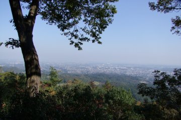 <p>View from the summit</p>