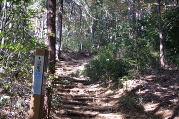 <p>A trail marker shows the way</p>