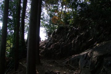 <p>The cool, forested trails of Mt.Hiwada</p>