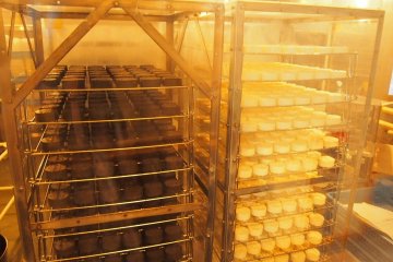 <p>Di lantai 1,Anda dapat melihat proses produksi dari keju Camembert</p>
