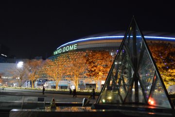 <p>Bahkan pepohonan di sekitar Tokyo Dome terlihat sangat cantik ketika menyala</p>