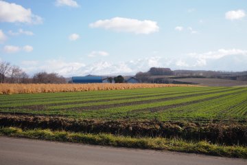 <p>On a clear day, the views from the museum look extraordinarily gorgeous.&nbsp;</p>