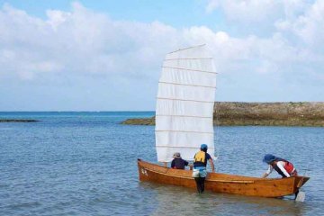 <p>Someone who works in the forestry industry may be a sabani enthusiast.</p>