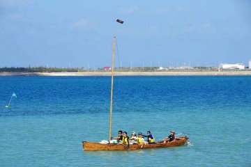 <p>Government employees may be on a team with graduate students.</p>