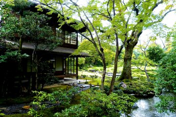 <p>Japanese-style building and a pond</p>