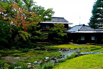 <p>Rain makes the garden brighter!</p>