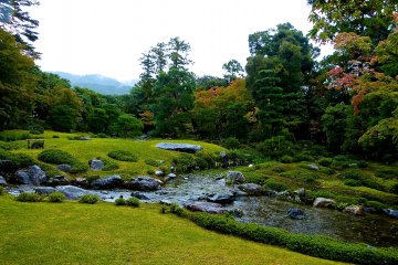<p>Lawn garden and a shallow pond</p>