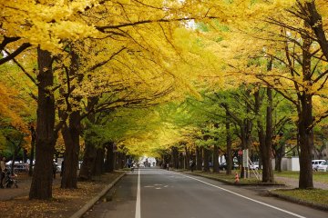 北海道/道央/札幌市/北區＆中央區/北海道大學＆北海道神宮