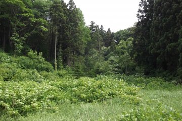 <p>Some of the scenery walking away from the town</p>