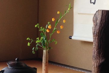 Watching Atsuko&rsquo;s considered ways during the Camellia tea ceremony; it reminded me of the martial arts practiced in Japan