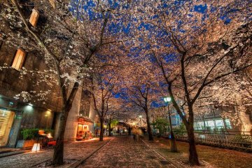 Toyoko Inn Kyoto Gojo-Karasuma