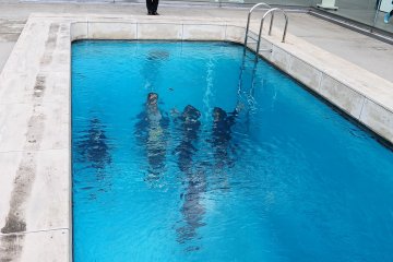 <p>The Swimming Pool, view from above</p>