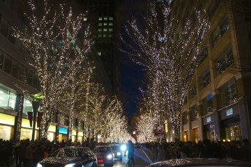 Jalan-jalan di bagian belakang Marunouchi Building menarik banyak pengunjung yang berbelanja untuk datang dan melihat iluminasi; iluminasi ini bahkan dapat dinikmati dari dalam mobil, karena tidak ada larangan lalu lintas tertentu.