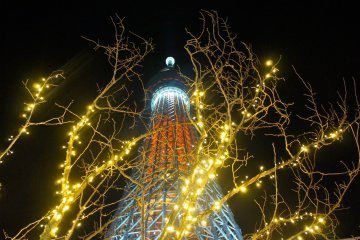 Christmas lights with the Skytree in the background as seen from the 7th floor of the&nbsp;Solamachi&nbsp;Mall