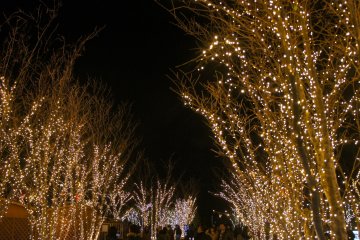 Beautiful walkway on the 7th floor of the&nbsp;Tokyo Skytree