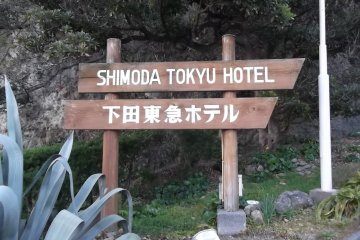 <p>Here it is! The sign at the bottom of the hill</p>