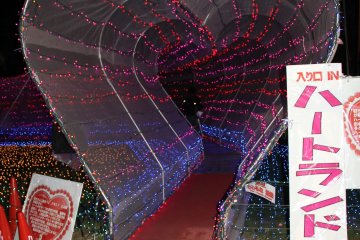 Tunnels of love are romantic if you walk through it with the right person