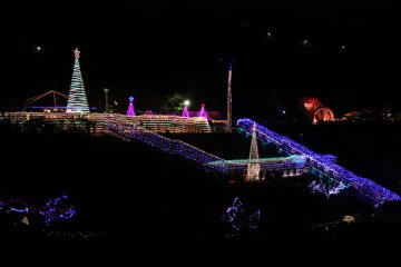 There were lights along every pathway around the zoo
