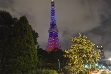 <p>Di balik Tokyo Tower dengan lampu non-oranye yang menyala</p>
