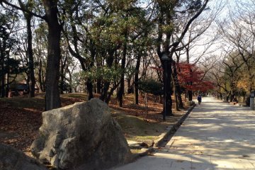 <p>A park outside the south exit hosts three museums built in 1998 and is also a popular place for viewing autumn&nbsp;leaves or cherry blossoms.&nbsp;</p>