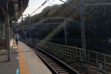 <p>The west platform. The trees lining the tracks mark the beginning of the adjacent park.&nbsp;</p>
