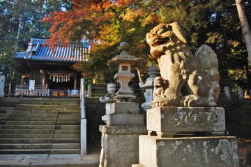 Komainu or lion dog, a guardian of the shrine.