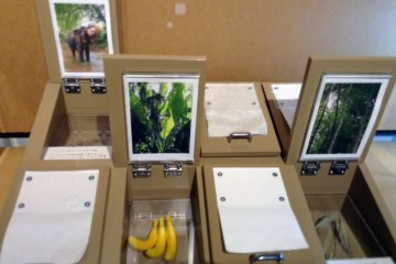 <p>This interactive exhibit has you feel a paper then lift a lid to find out what it was made of. Banana paper? Interesting. I just wish you told me about the elephant dung paper before I touched it!</p>